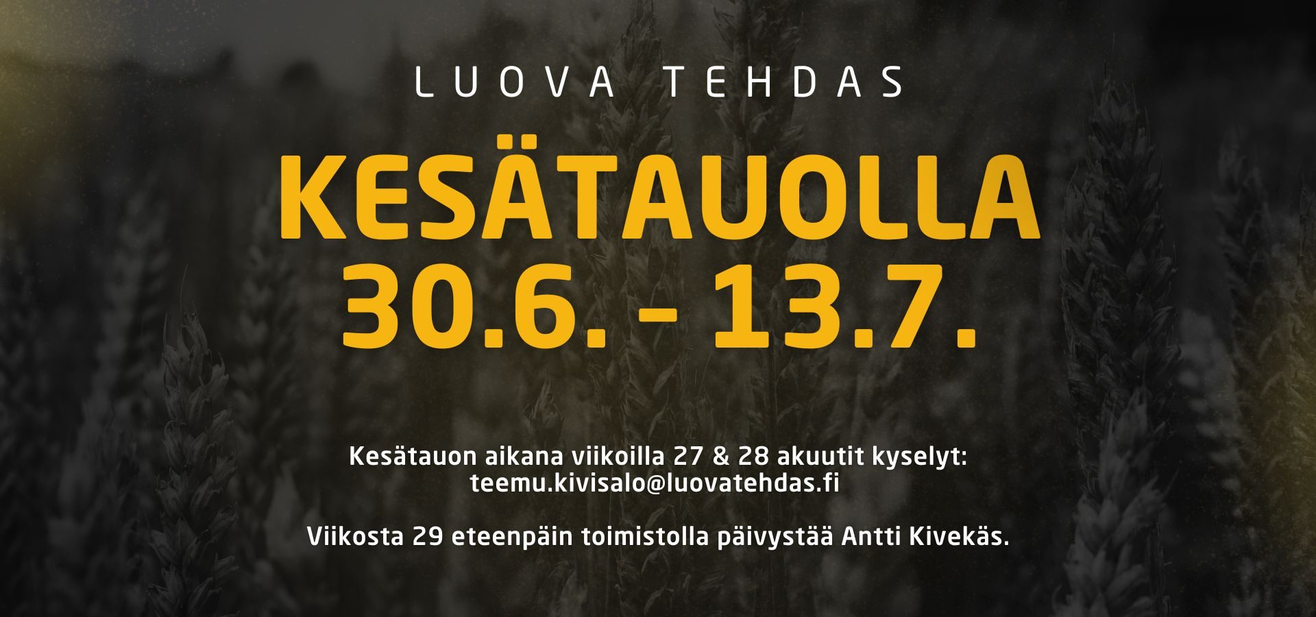 kesätauko