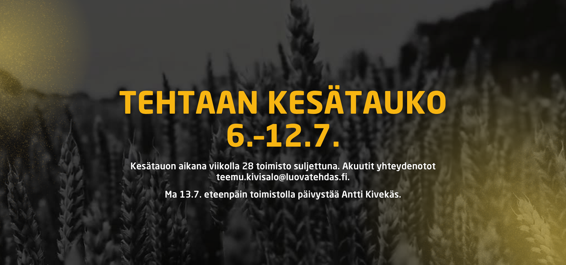 slideri kotisivuilla-2